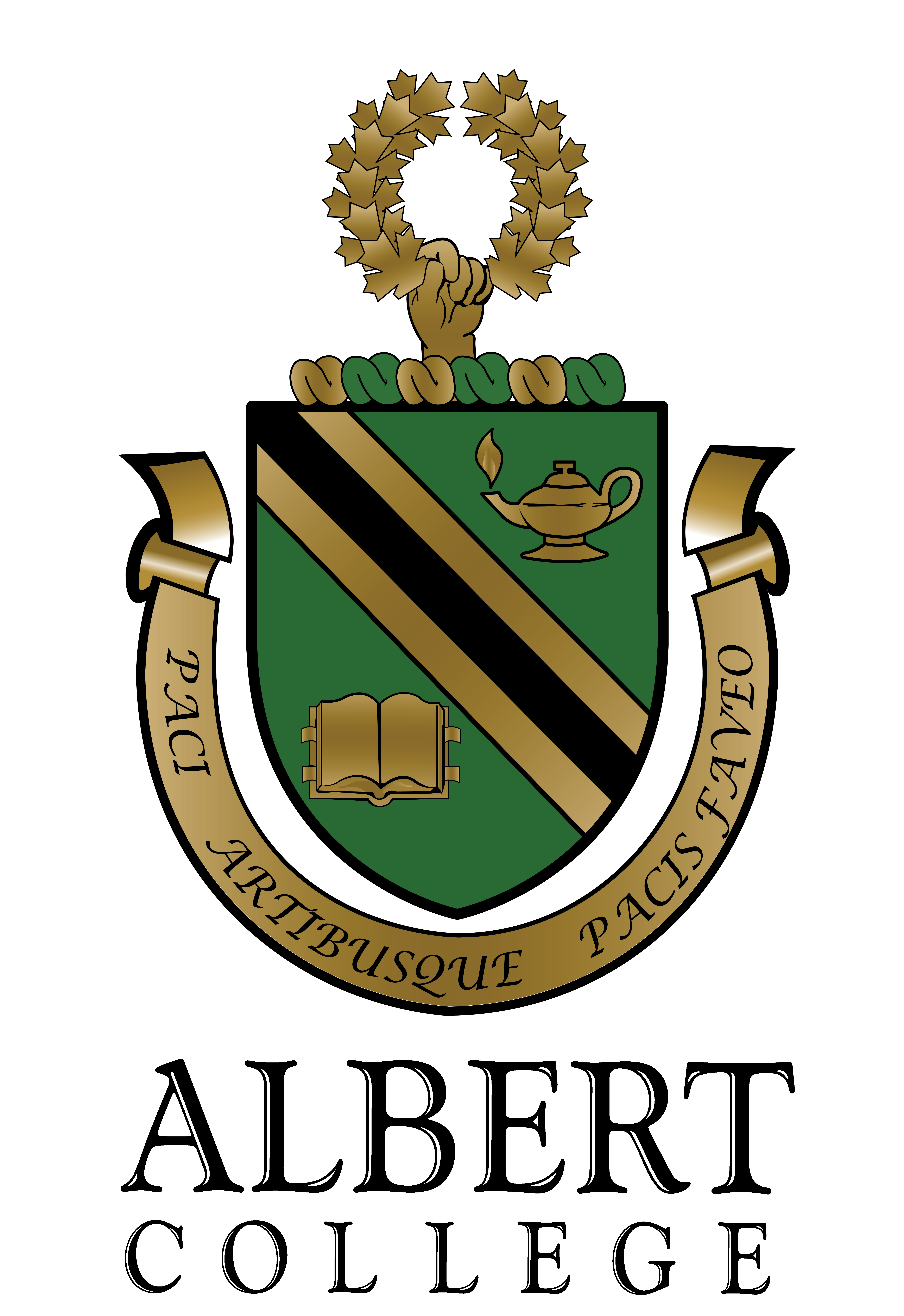 Sponsor Logo